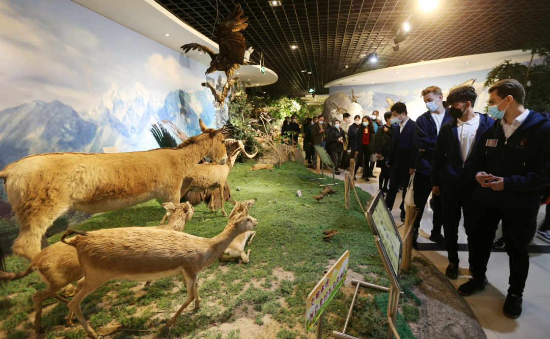 总书记回信一周年！在北大读懂中国！