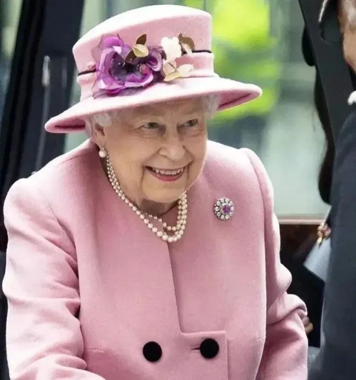 看吧，富贵脸和珍珠耳环才是天生一对