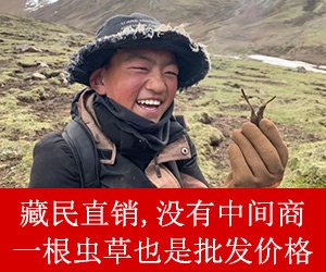 刚刚，公募基金十大重仓股出炉！股王茅台重回榜首，新能源占据半壁江山