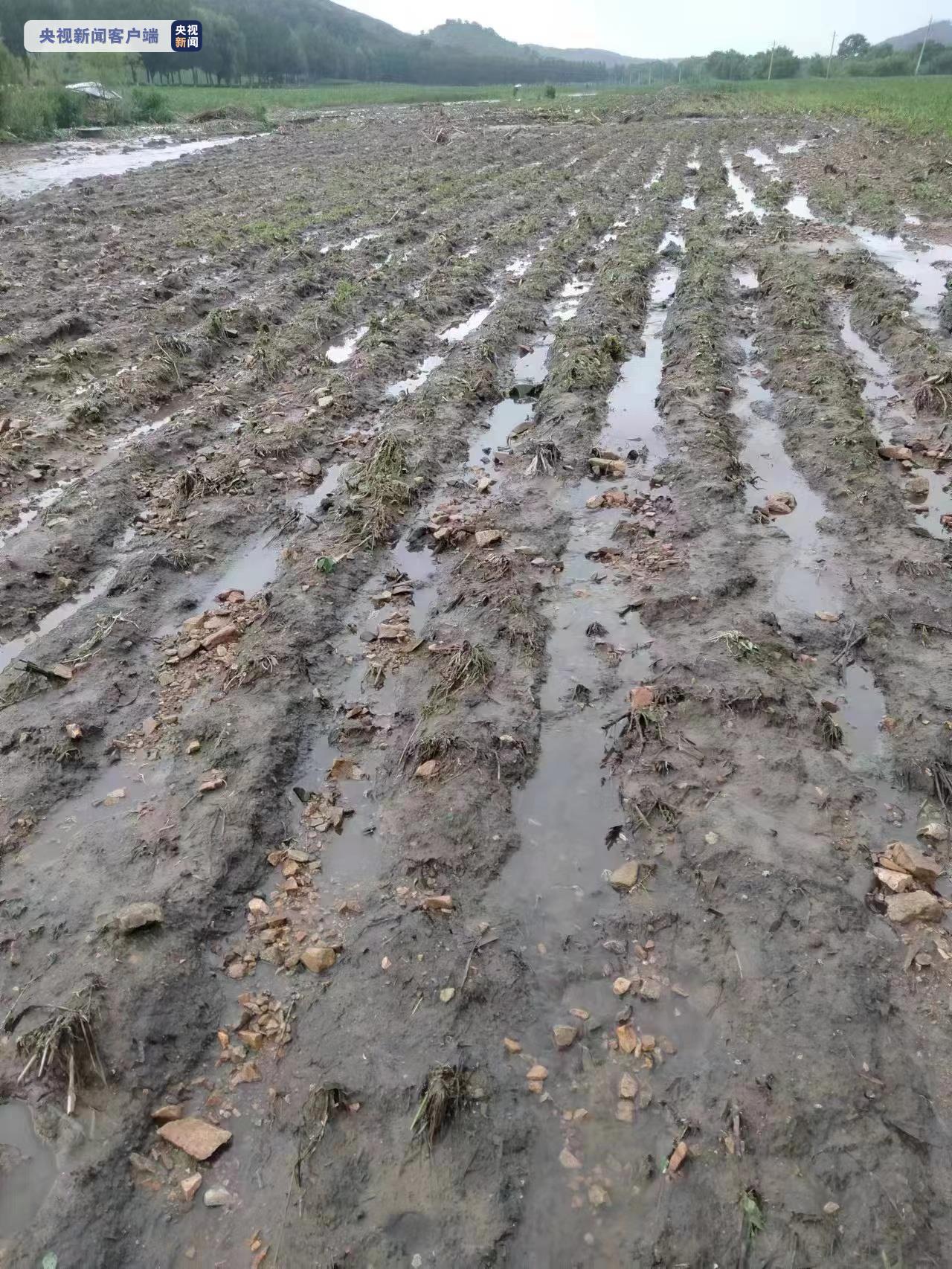 辽宁强降雨致417公顷农作物受灾 12座水库正在泄洪
