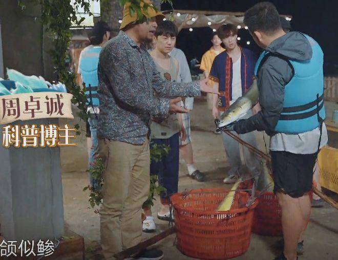 《向往的生活》回应“道具鱼”，深海鱼为啥有‘塑料感”？