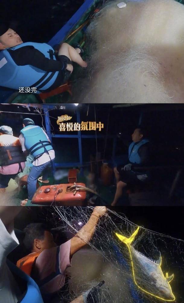 《向往的生活》回应“道具鱼”，深海鱼为啥有‘塑料感”？