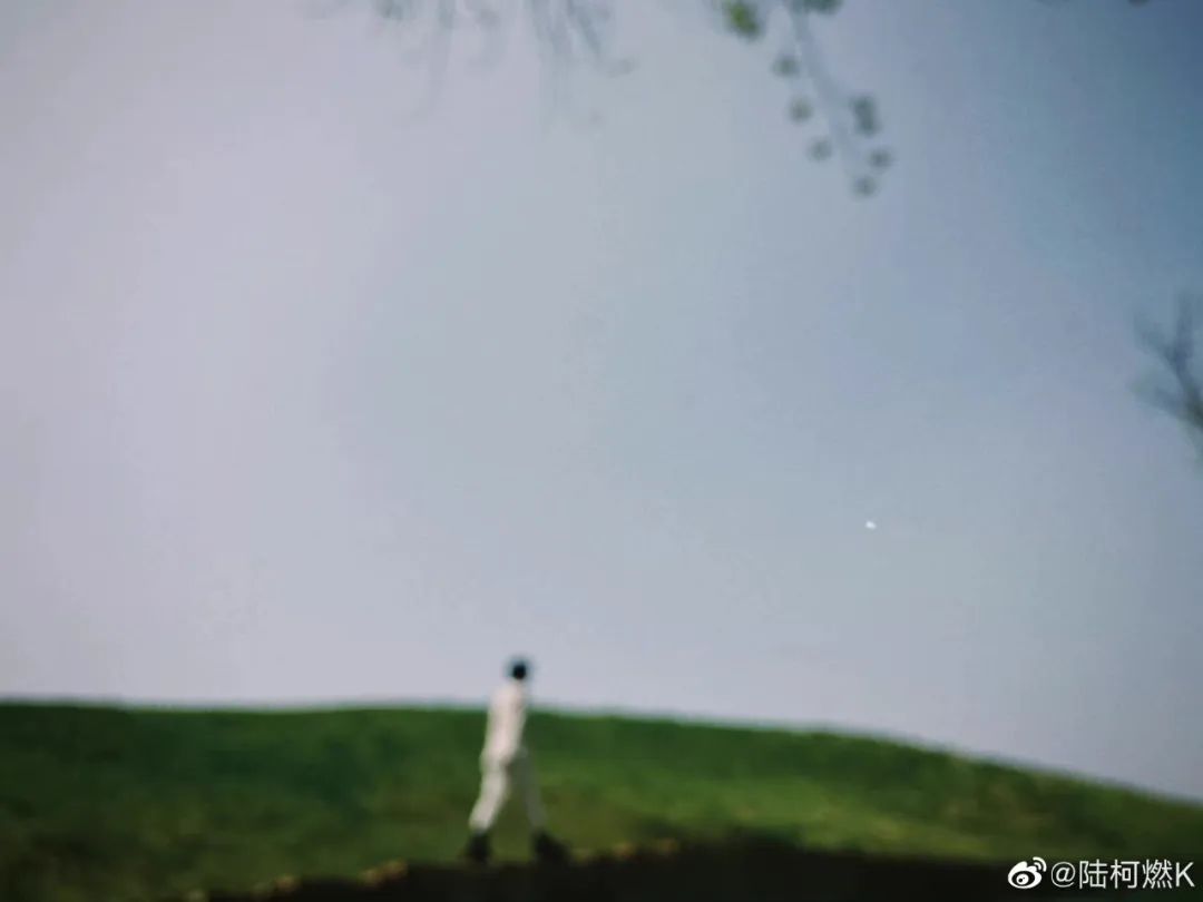 姐妹早茶铺 | 204天过去，陆柯燃在等毕业典礼