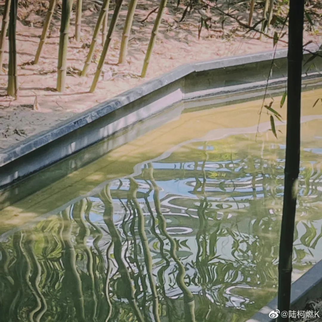 姐妹早茶铺 | 204天过去，陆柯燃在等毕业典礼