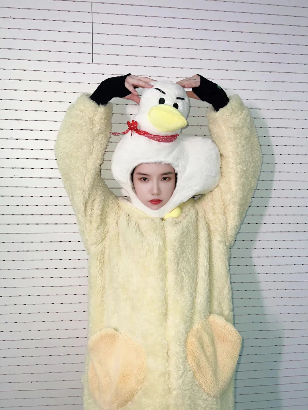 姐妹早茶铺 | 204天过去，陆柯燃在等毕业典礼