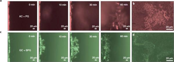 物理所在多界面协同提升钠离子电池性能研究方面获进展