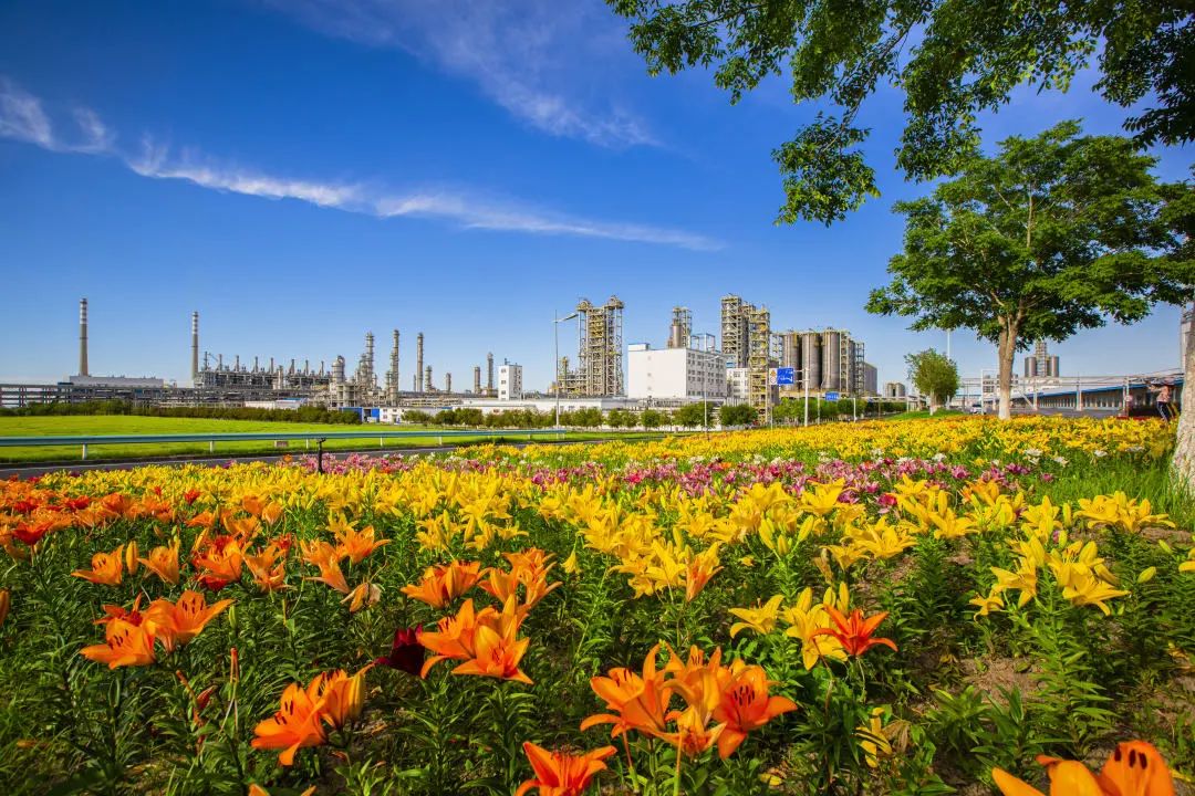 “尖子生”亮相！中国石油一特色产品入选2021年度化工新材料创新产品