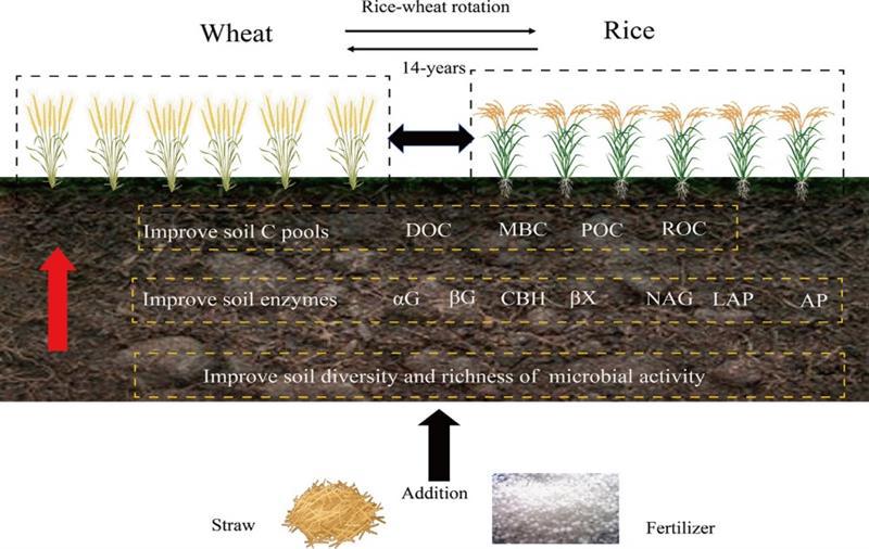 湖北省农科院研究秸秆还田取得新进展