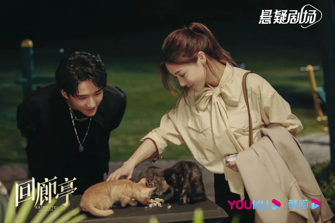 头部艺人青睐，“姐弟恋”能否重拾流量密码？