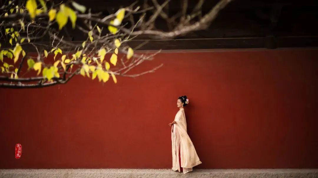 上海这些古风打卡地,美哭了