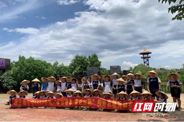 长沙市雨花区砂子塘小学开展农耕劳动实践(图2)