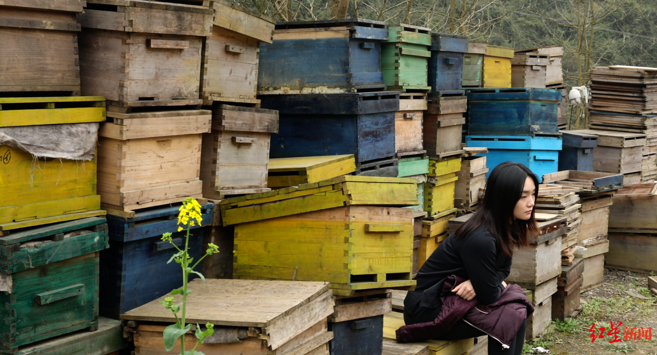《最后的棒棒》导演新片“难产”：拍摄3年半线上推出至今未定，“熬不住”已解散公司