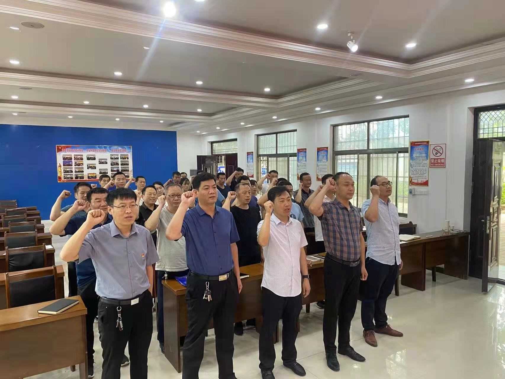 镇平县王岗乡开展庆“七一”机关党员重温入党誓词活动