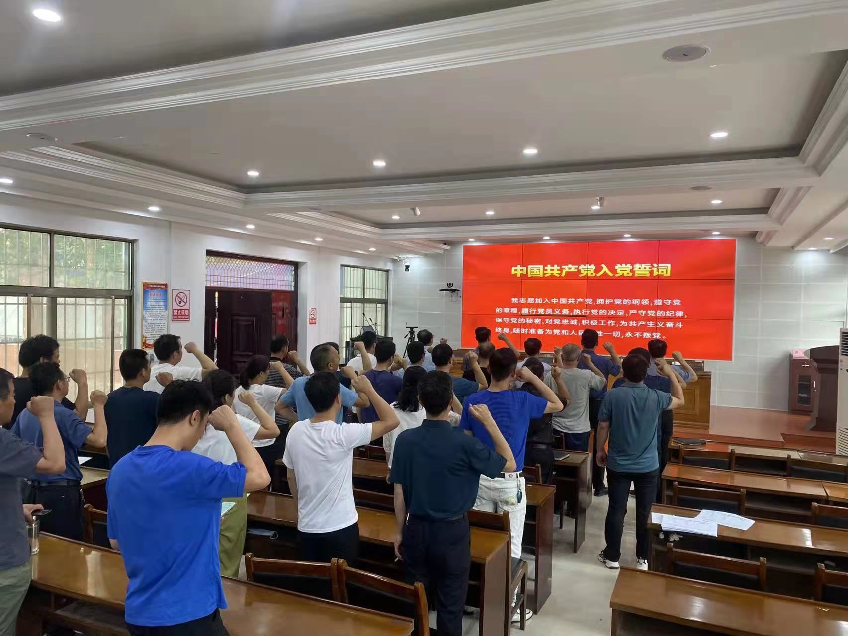 镇平县王岗乡开展庆“七一”机关党员重温入党誓词活动