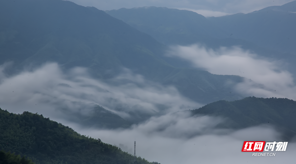 雨后炎陵：云雾绕山 宛若仙境