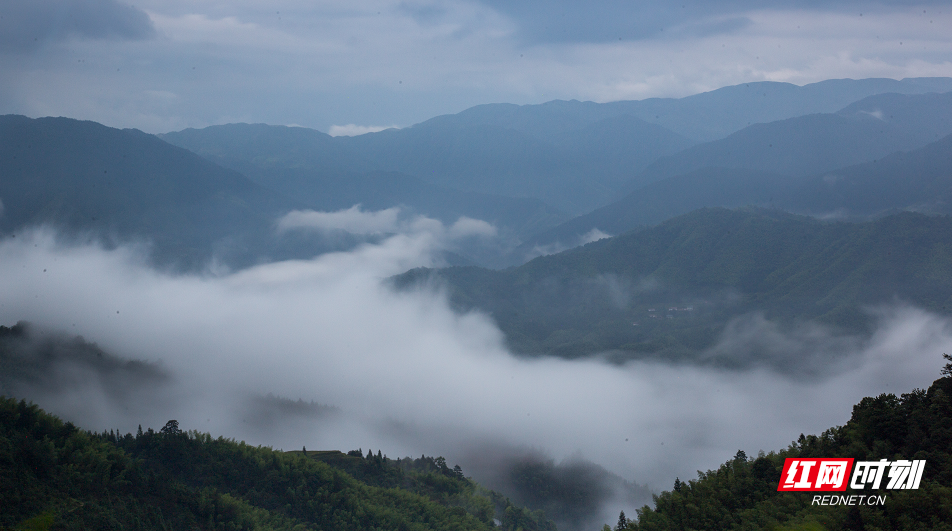 雨后炎陵：云雾绕山 宛若仙境