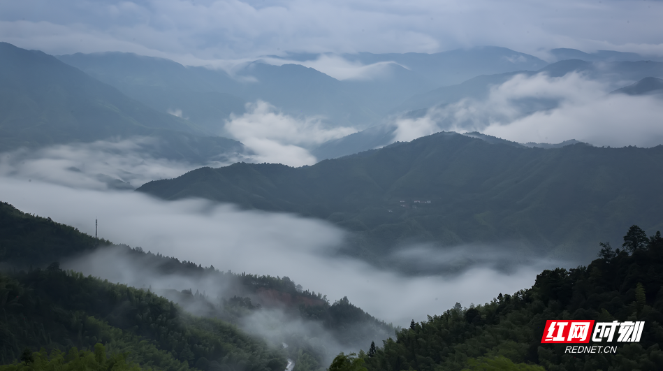 雨后炎陵：云雾绕山 宛若仙境
