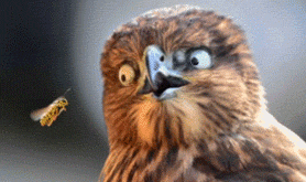 为什么古偶剧的海报都是“土味婚纱风”？