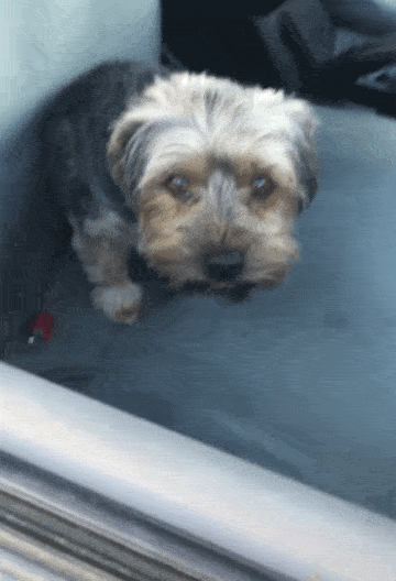 为什么古偶剧的海报都是“土味婚纱风”？