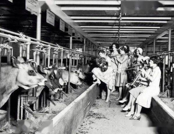 马云邀请女神“小鹿纯子”访问阿里巴巴！珍贵老照片