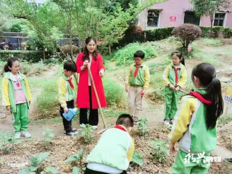 永兴县红旗实验小学推进清廉学校建设纪实(图1)