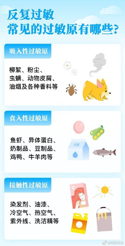 過敏星人該如何安心度夏？這份生活寶典請收好