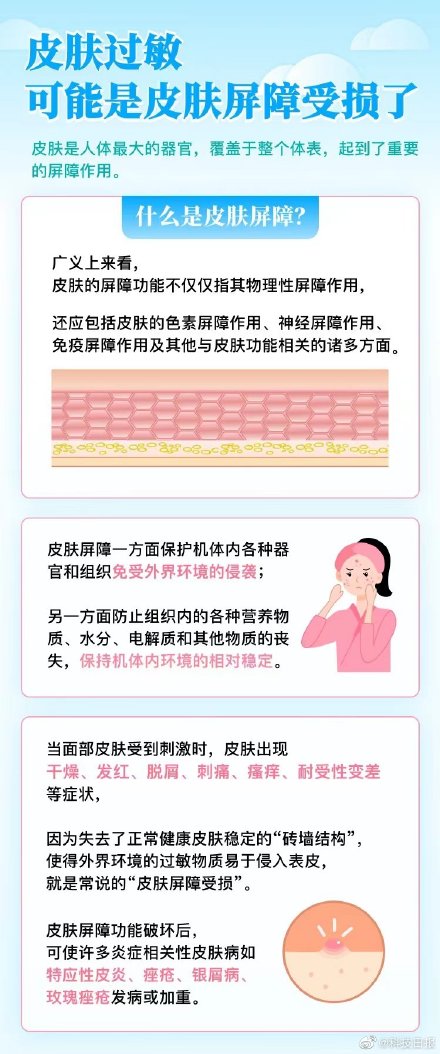 過敏星人該如何安心度夏？這份生活寶典請收好