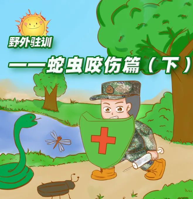 预防训练伤野外蛇虫咬伤的预防和处理下虫类篇