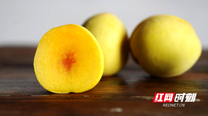 又是一年黄桃飘香时 来“中国深呼吸小城”炎陵邂逅“甜蜜”