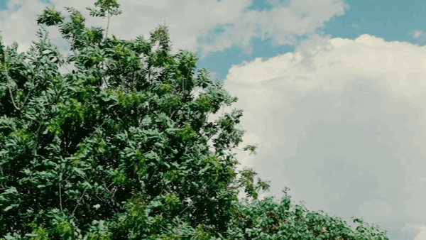 《穿Prada的女魔头》在16年后过时了吗？