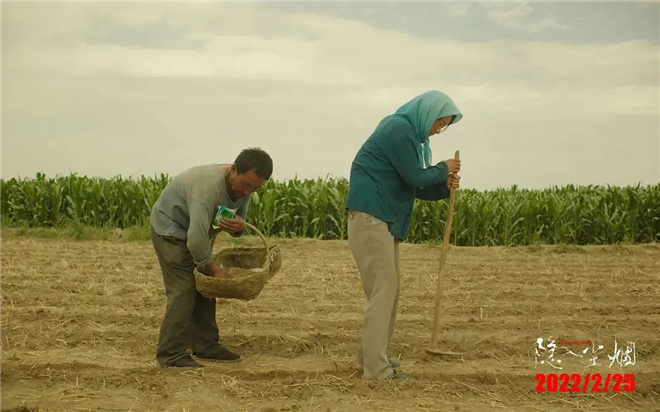 年度评分第一华语片《隐入尘烟》不止于乡村爱情