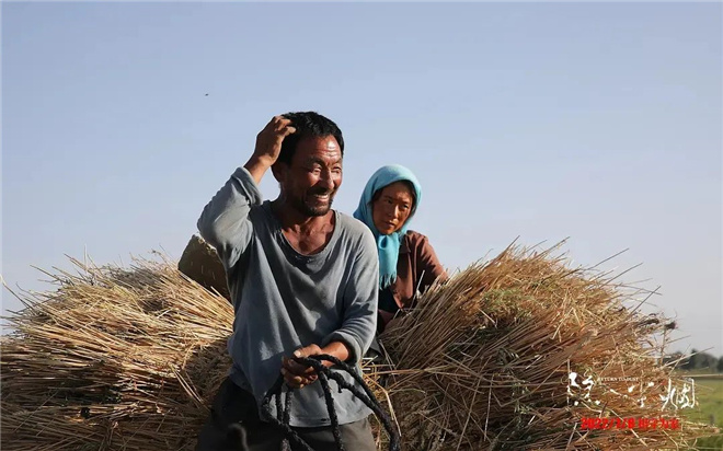 年度评分第一华语片《隐入尘烟》不止于乡村爱情