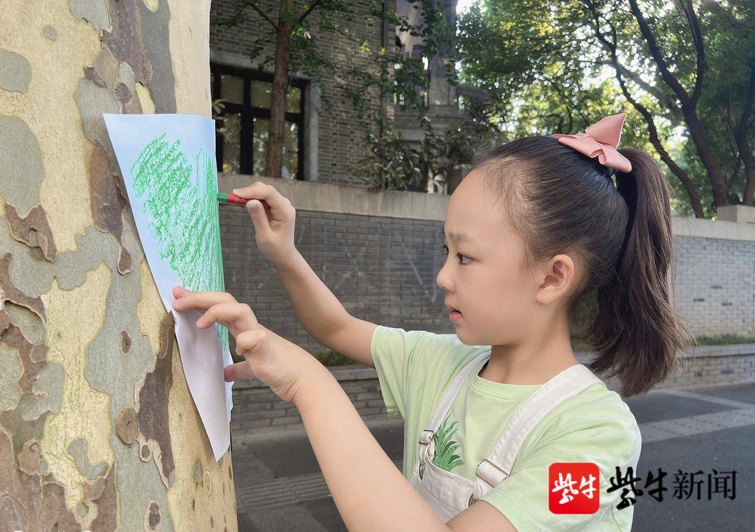 南京力学小学孩子们的“儿童研究小课题”上新啦(图10)