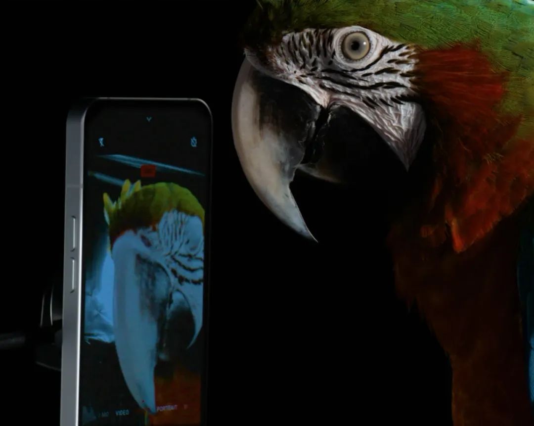 这台「啥也不是」手机，是机圈颜王还是智商税？