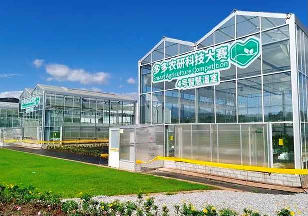 拜耳探索数字农业商业化应用：利用人机融合智能算法夺冠″多多农研科技大赛″