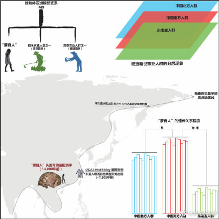 第一批到达美洲新大陆的人，竟来自中国云南？