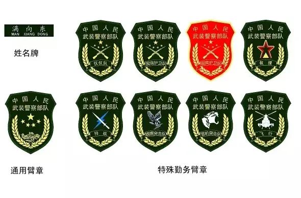 那些年,我们戴过的武警臂章