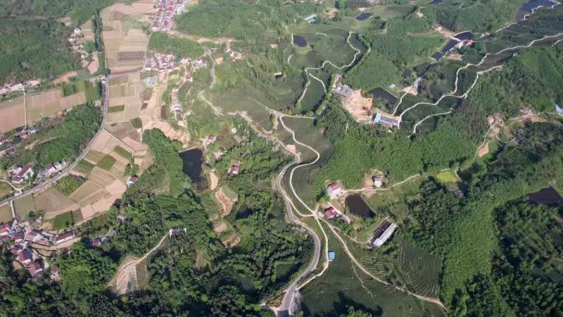 瞄准三张“国牌”谷城全力打造“民富县强”先行区