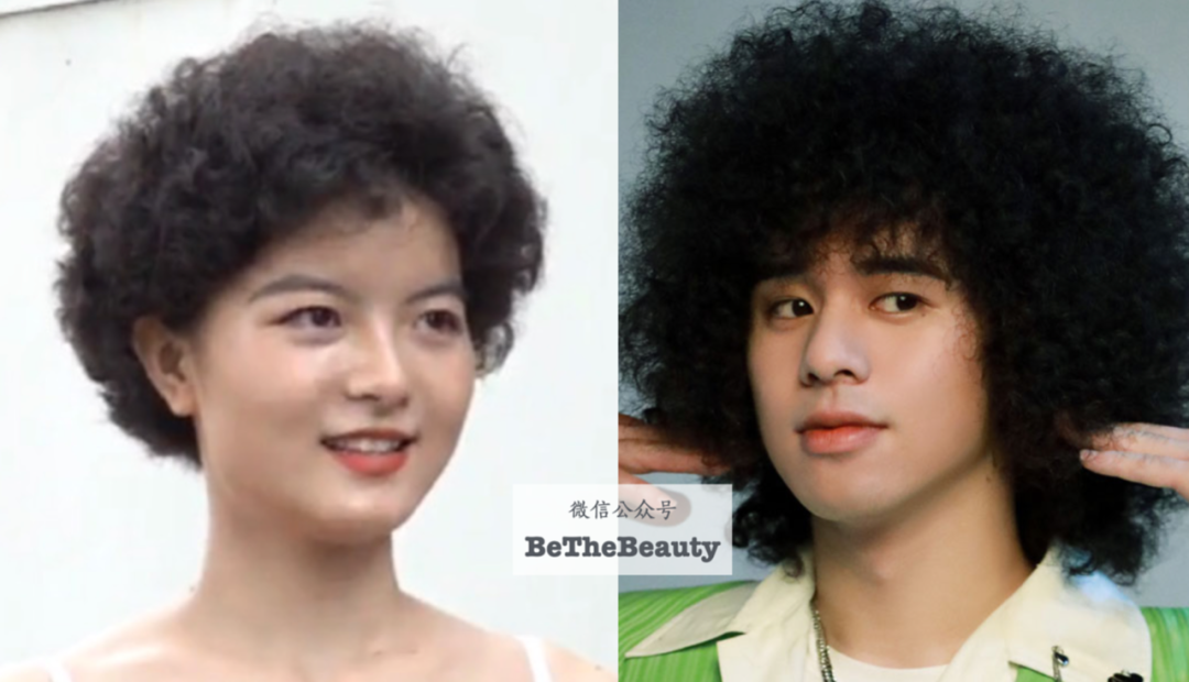 长着「明星同款脸」，为啥颜值发展差好多？靠脸走捷径，抬咖不翻车