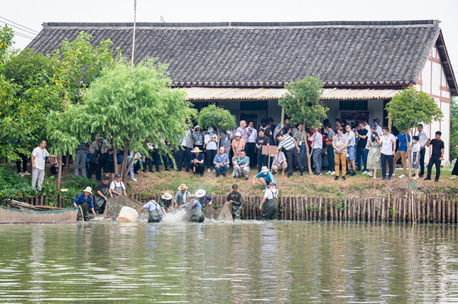 22国驻华使馆走进湖州南浔，寻农遗“活化石”看千年桑基鱼塘赋能乡村振兴