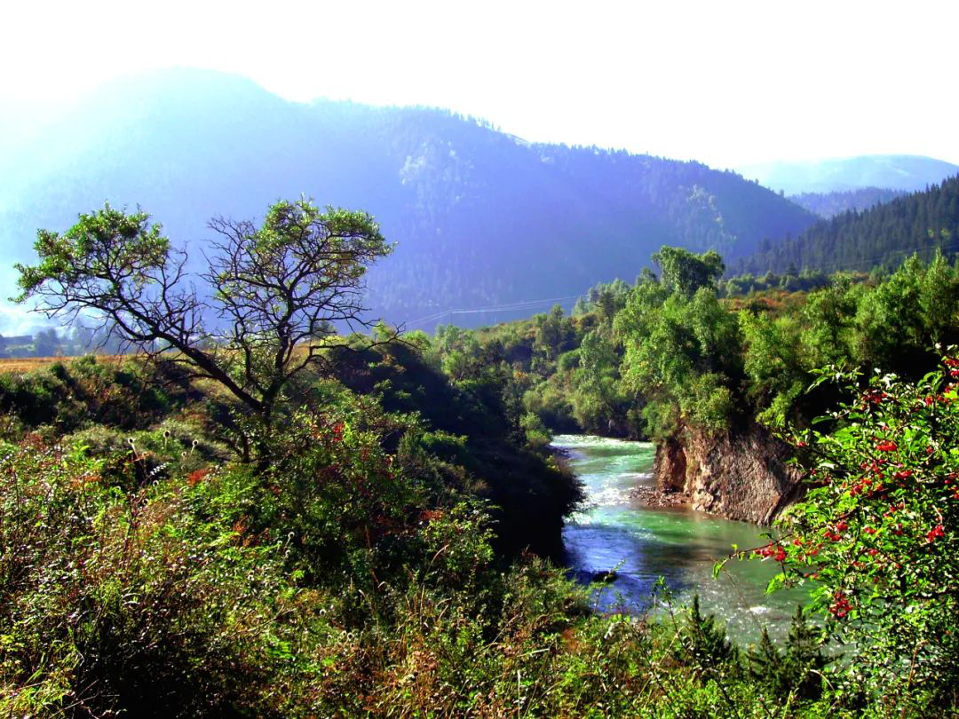 藏王故里，梦幻卓尼——探秘五彩大峪沟惊艳之美