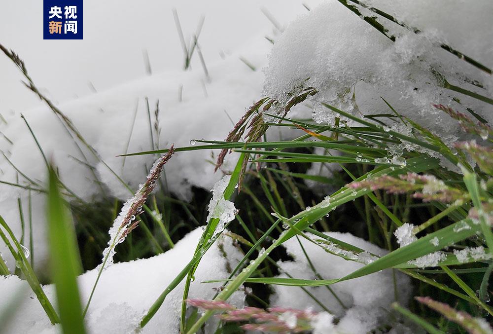 地球怎么了？欧洲致命高温、青海三伏天降雪同现！为何会如此反常