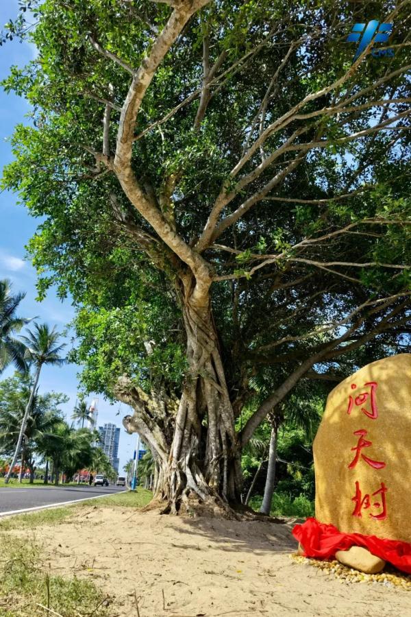 火箭视频(气势恢宏！沉浸式体验问天实验舱与火箭组合体转运现场)