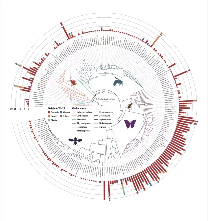 天目Tech+揭秘雄性昆虫“求偶”的基因密码 中国团队为害虫防控提供新思路