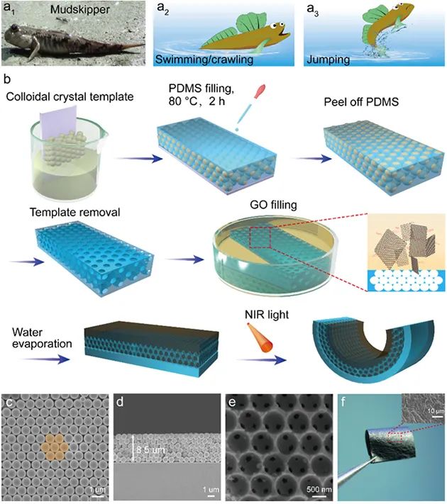 科研人员开发出多功能光驱动、多场景应用仿生机器人