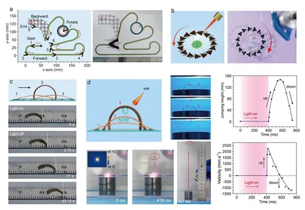 科研人员开发出多功能光驱动、多场景应用仿生机器人
