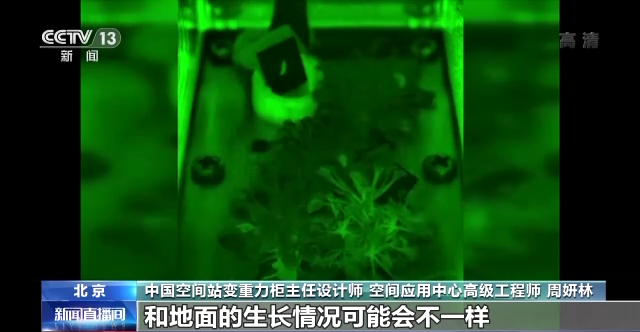 探访中国空间站科学实验设施：生命生态实验柜 探索空间生命科学