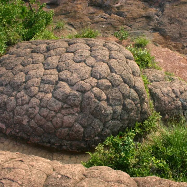 通天寨景区传说故事——神龟问天
