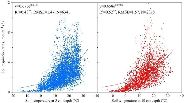 植物所在中国森林土壤碳排放研究中获进展