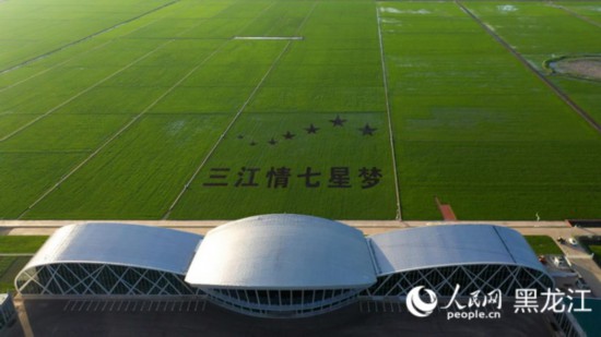黑龙江：“中国饭碗”插上现代科技翅膀 装备制造增添自主创新动力
